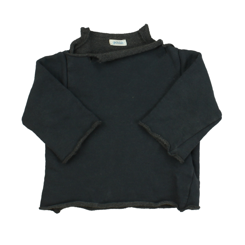Gaia Boys Grey Sweatshirt size: 18 Months